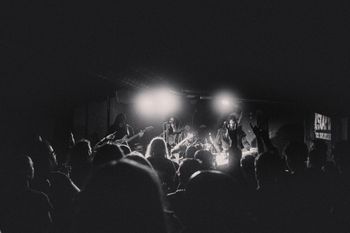 Live in Vienna. Photo by Jayden Hauptberger.

