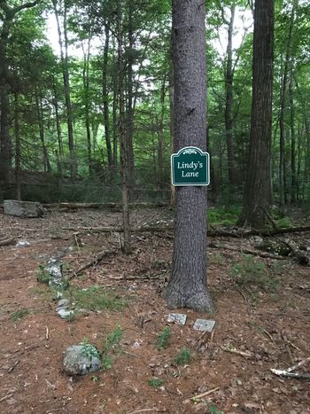 Wilderness trails
