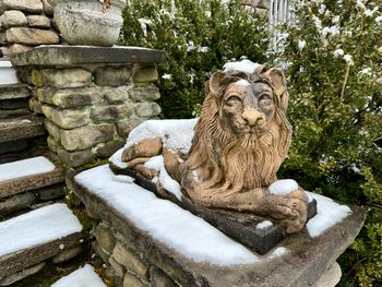 Even the Green Gables Lions like a little snow
