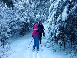 Bring your cross-country skis!
