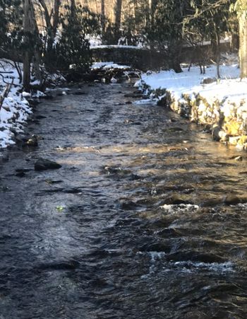 The beautiful winter version of Rattlesnake Creek at Green Gables Estate
