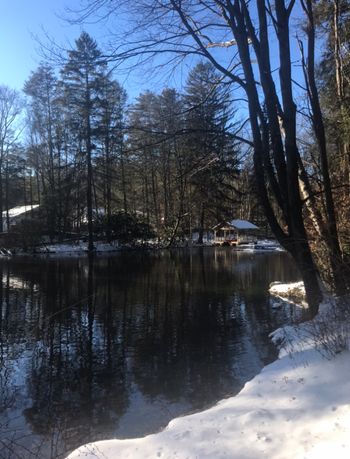 A wintery pond at Green Gables

