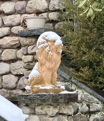 Winter Green Gables Lions
