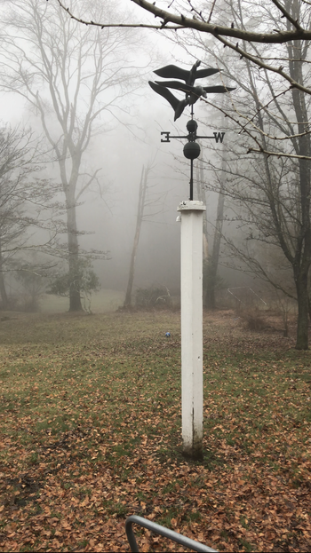 Autumn fog at Green Gables Estate
