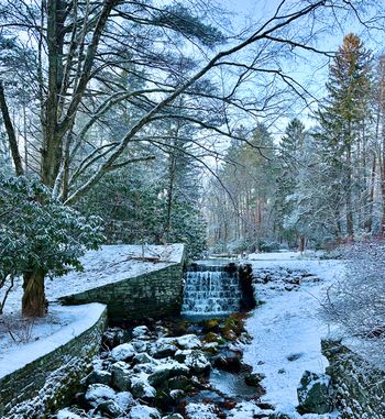 Rattlesnake Creek at Green Gables - Jan. 2025
