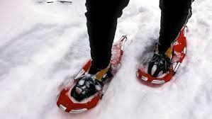 Plenty of areas for snowshoes!
