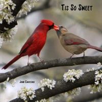 Tis So Sweet by John Cavicchio