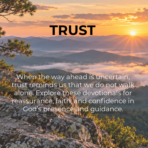 Link to Trust