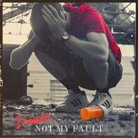 Not My Fault by Ironic