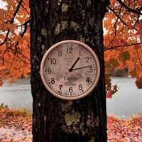 Losing Time by Envy And The Sloths