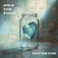 Unsaid by Bright Bird Rising