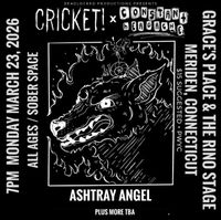 Cricket! X Constant Headache