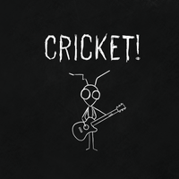 Thinking About Bugs by Cricket!