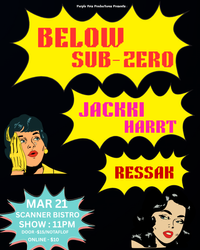 BELOW SUBZERO/JACKKI HARRT/RASSEK