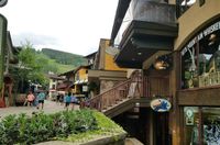 10TH MOUNTAIN WHISKEY & SPIRITS
