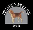 Dog Sticker