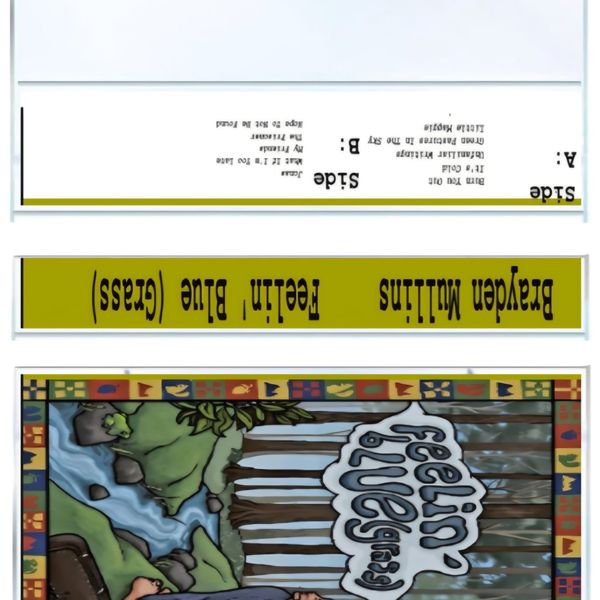 Feelin ‘ Blue (Grass)  - Cassette
