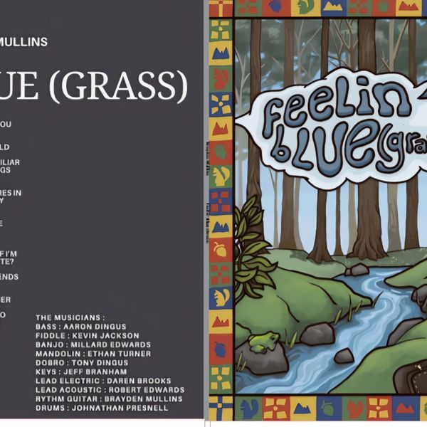 Feelin ‘ Blue (Grass)  - Vinyl