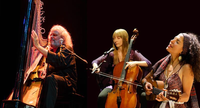 Andreas Vollenweider 