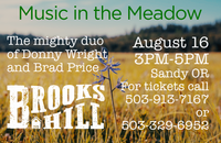 Brooks Hill plays Music in the Meadow