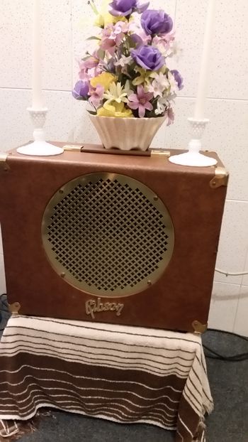 Mike Mahoney left this amp and his #1 Telecaster at my house when he passed away.  I made a little memorial of his amp before returning both to the family.  Miss my brother every, freakin' day.
