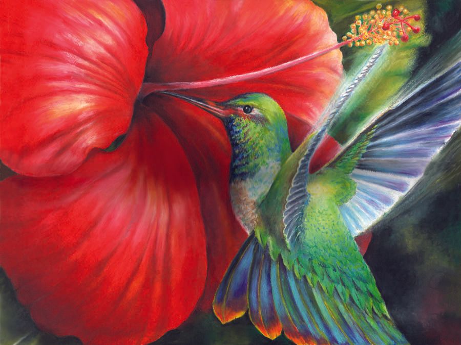 Hummingbird & Hibiscus