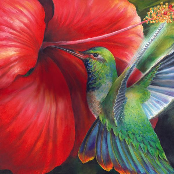 Hummingbird & Hibiscus