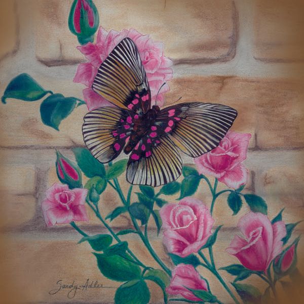 Butterfly and Roses
