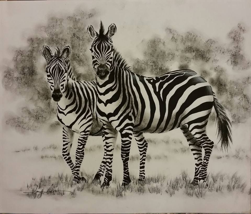 Zebra Duo