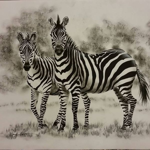 Zebra Duo