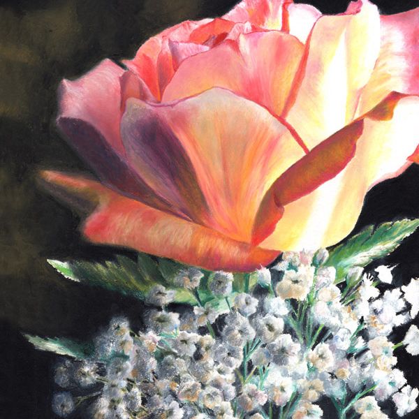 Anniversary Rose