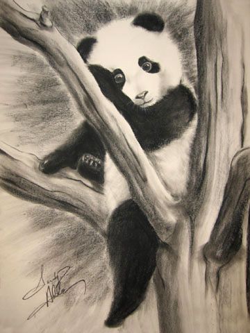 Panda Baby in Tree