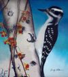 Downy Woodpecker
