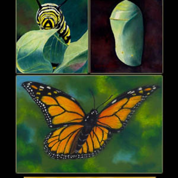 Metamorphosis Collage