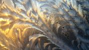 Wonders on my Window #7 - 8 x 10