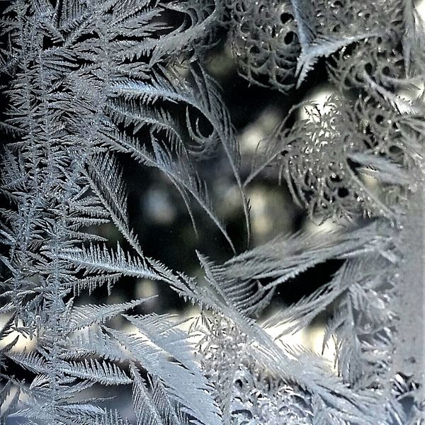 Wonders on my Window #4 -8 x 10