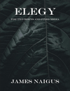 Elegy