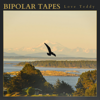 Bipolar Tapes by Love Teddy