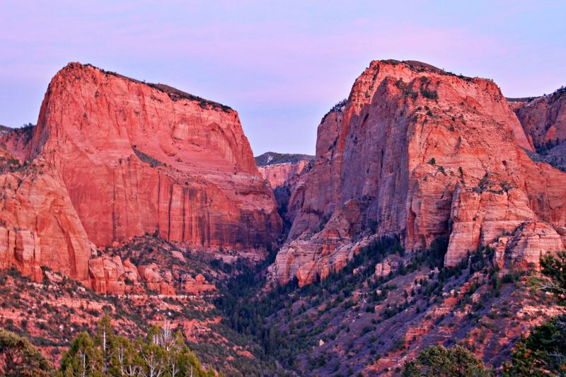 Red cliffs in Zion
