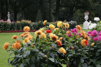 Kasteel de Haar, near Utrecht. The flowers deserved a picture of their own. The gardens had plenty of color to spare.
