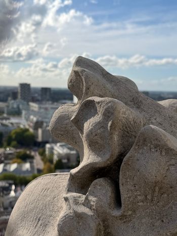 Dom Tower, Utrecht. A gargoyle keeping watch over Utrecht. He has a pretty good view.
