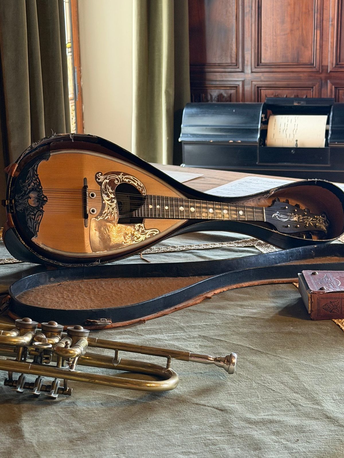 Historic instruments at Schloss Drachenburg. This songwriter had to stop for a closer look.