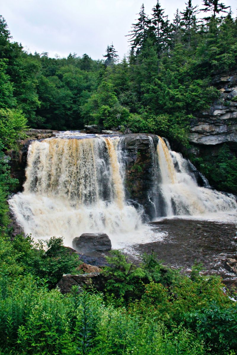 A waterfall surrounded by green woodland