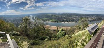 Drachenfels, above the Rhine at Königswinter. The river winding through the valley. A view that needs a little room in the frame.
