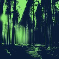 Fever Dream by andothersons