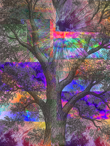 Transmuted Frames 2026, Abstract Photography

