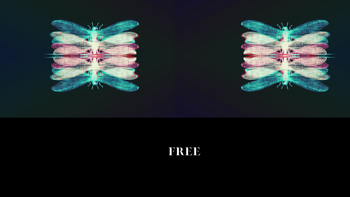 Free, 2022 Abstract Photography
