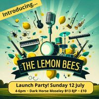 The Lemon Bees Launch party