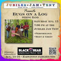 Bugs on a Log String Band