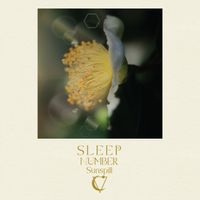 Sunspill by Sleep Number